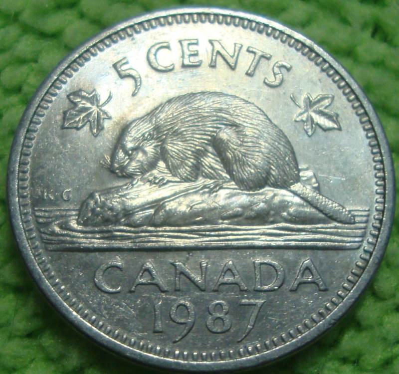 The-Goal:-25,000-Rolls-Of-Nickels-All-Searchers-Welcome!