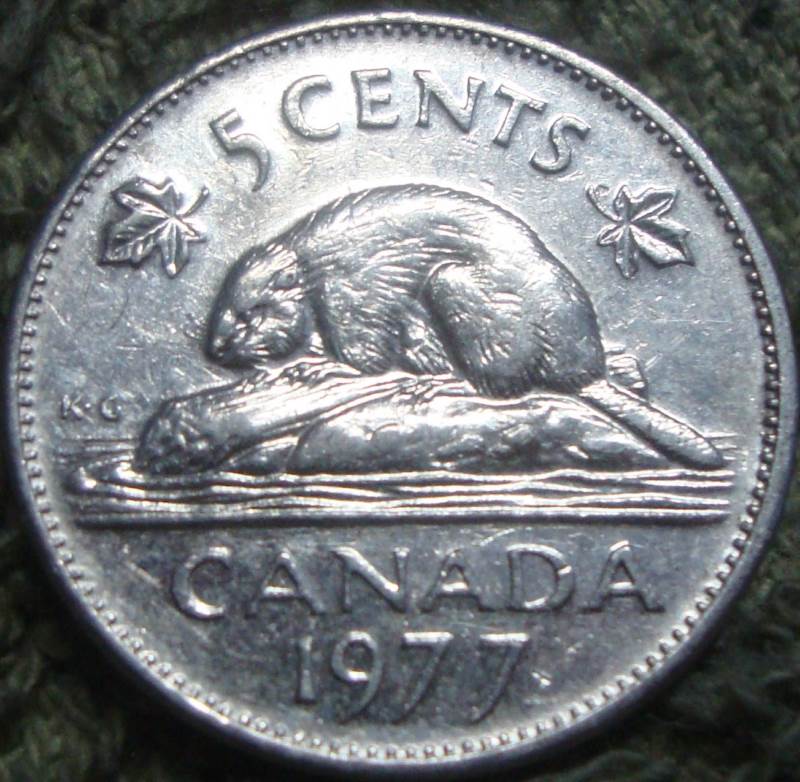 The-Goal:-25,000-Rolls-Of-Nickels-All-Searchers-Welcome!