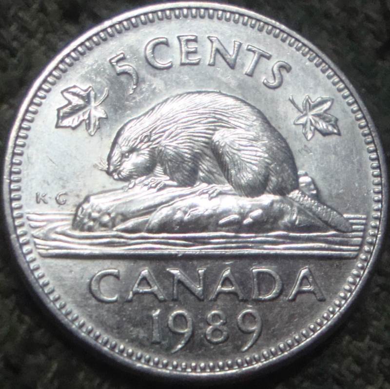 The-Goal:-25,000-Rolls-Of-Nickels-All-Searchers-Welcome!