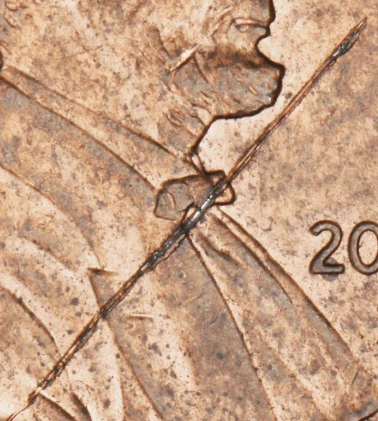 2006-D-Lincoln-Speared
