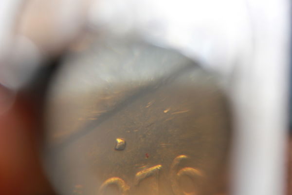 1976-Filled-D-Ike-Dollar---Is-This-An-Error?