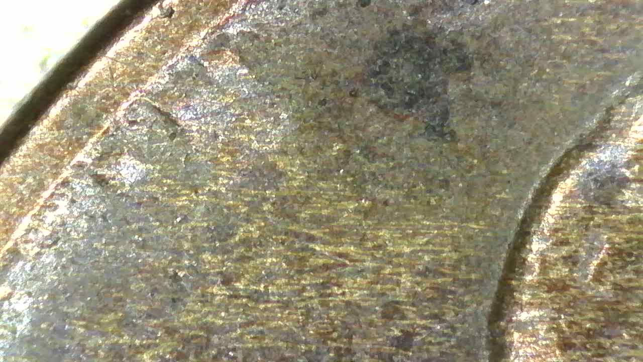 1920-S-Wheat-Penny,-Please-Advise