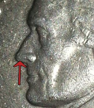 Nose