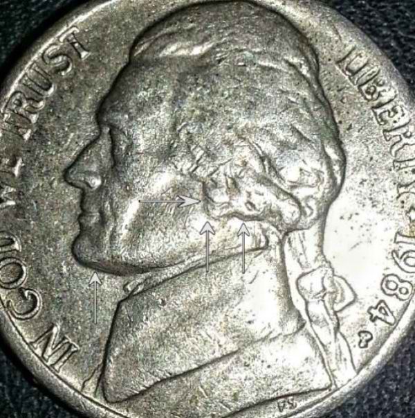 Nose