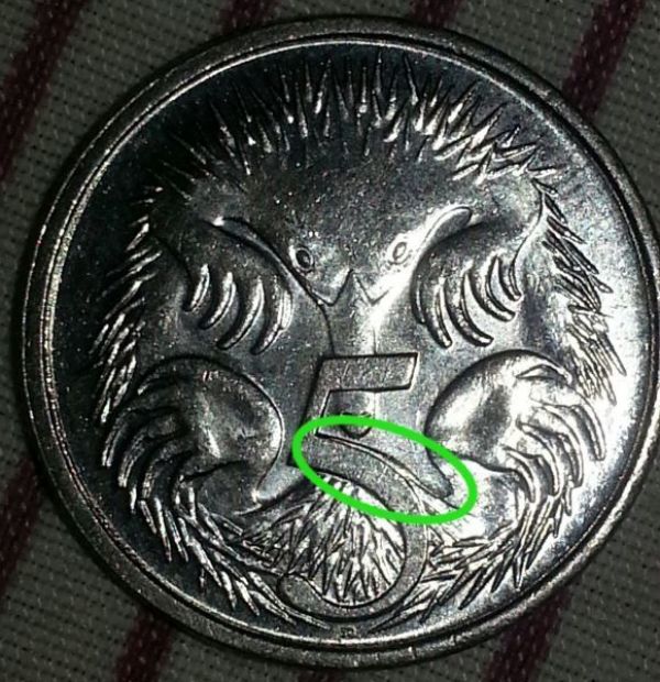 2008-5-Cent-With-An-Extra-Coarse-Hair-With-Spine