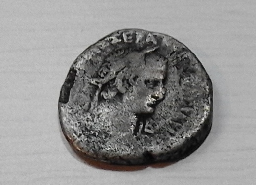 Constantius-Battle-Horse