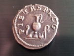 Roman-Coin?