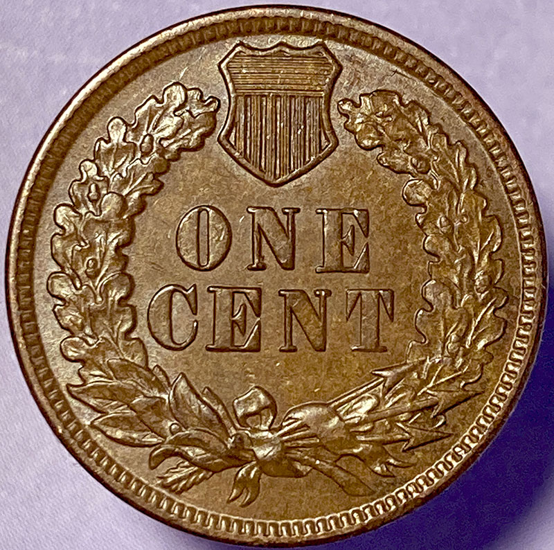 1880-Indian-Snow-4A-I-Think-For-Grade-And-Evaluation