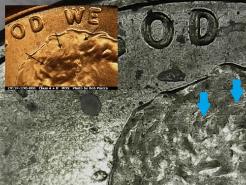 2011-Lincoln-Shield-DDO?