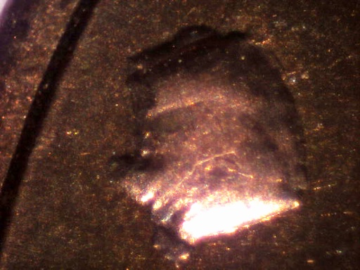 Tonights-Only-Find-From-A-Box-Of-Pennies