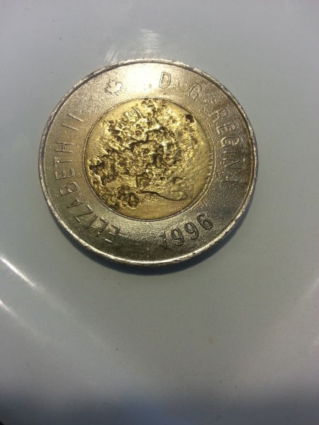 Toonie-Error-Or-Tampering?