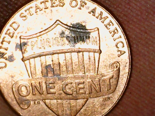 One-Of-The-2017-P-Cent-Varieties?