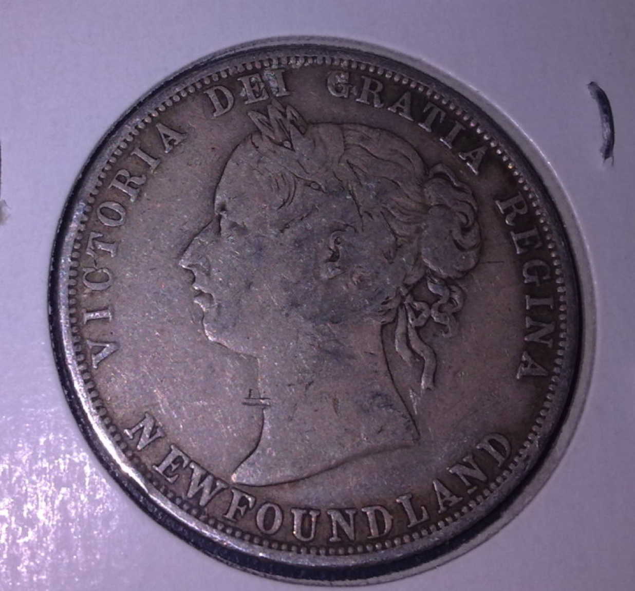 NFLD-50-Cent-1888-New-Pictures!