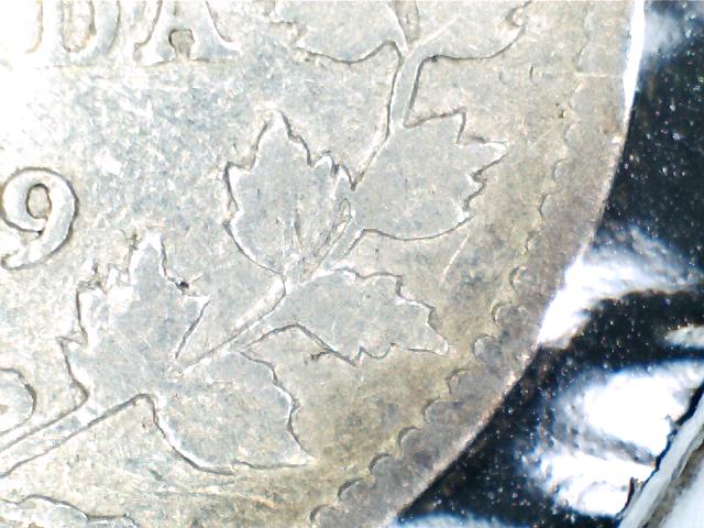 Holly/Pointed-Leaves-Vs-Maple/Round-Leaves