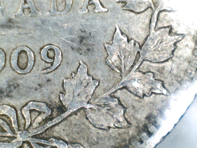 1909-Pointed-Leaf?