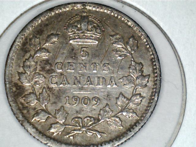 1909-Pointed-Leaf?
