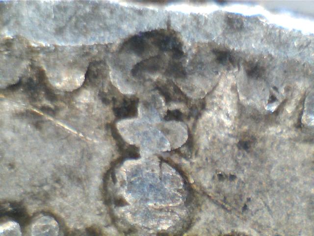 1909-Pointed-Leaf?