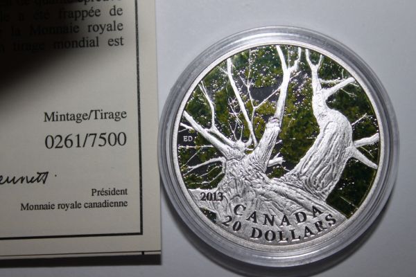 What-About-The-1-Oz....maple-Canopy-Coin