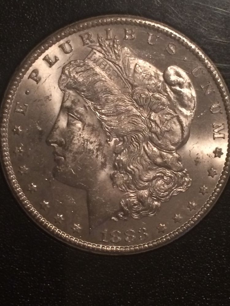 1883-Morgan-CC-GSA--Grade-Me!
