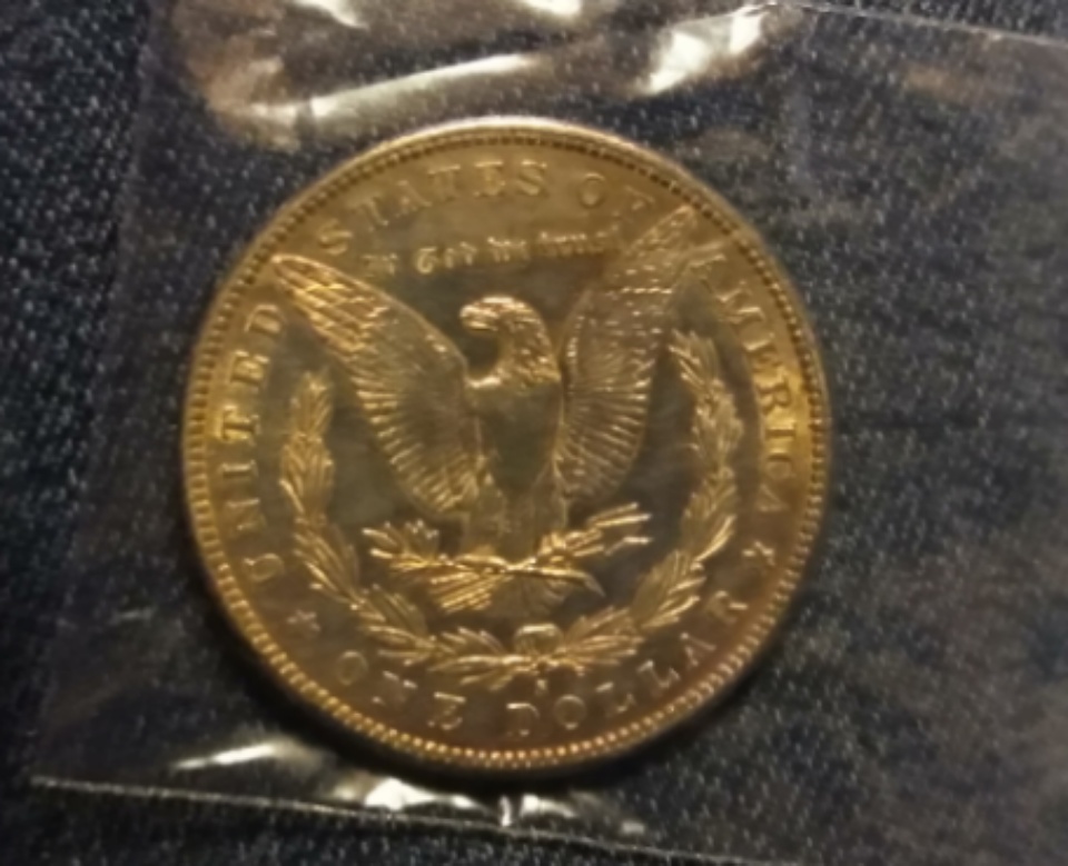 1881-Morgan-Silver-Dollar-Not-Sure-About-Grade