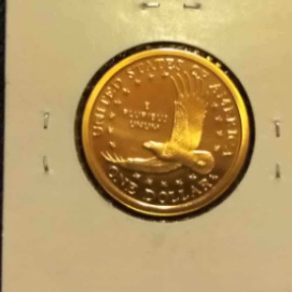 2005-S-Sacagawea-Proof-Coin-Just-Added-To-Collection