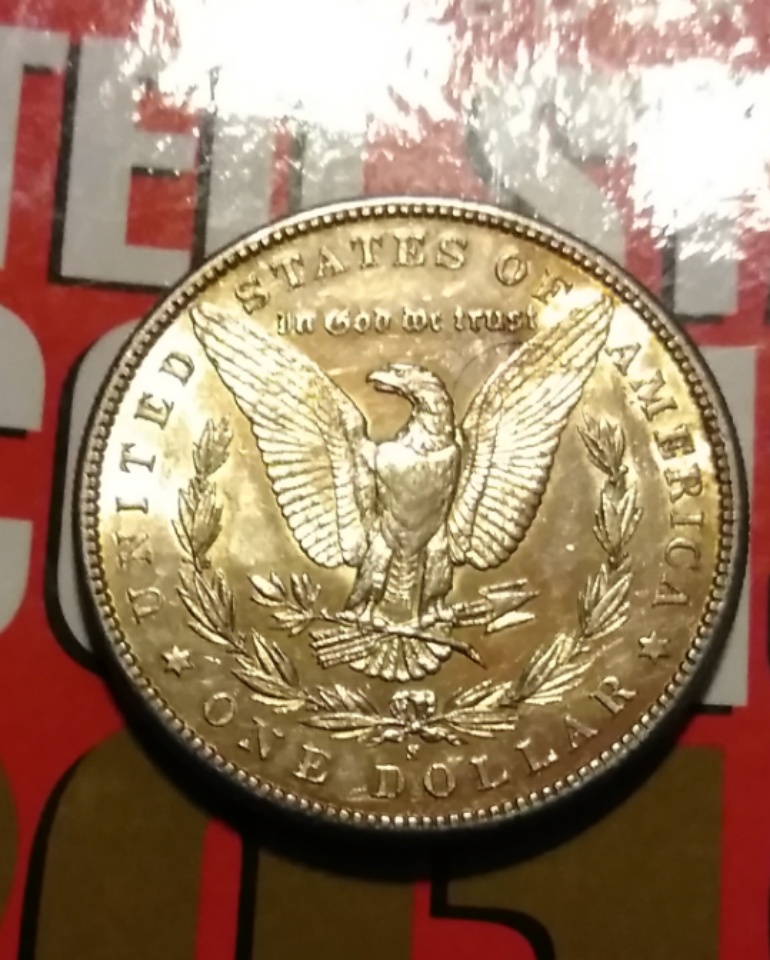 1881-Morgan-Silver-Dollar-Not-Sure-About-Grade