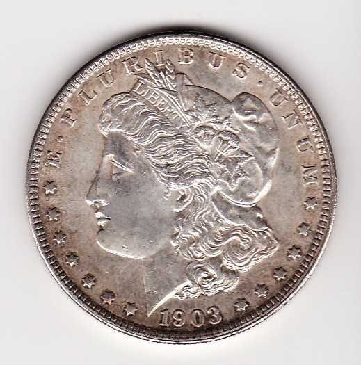 Sharpie-Marker-On-Morgan-Dollars--What-To-Do?