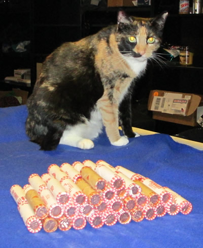 Am-I-The-Only-Guy-Here-With-A-Cat-That-Loves-Coins?