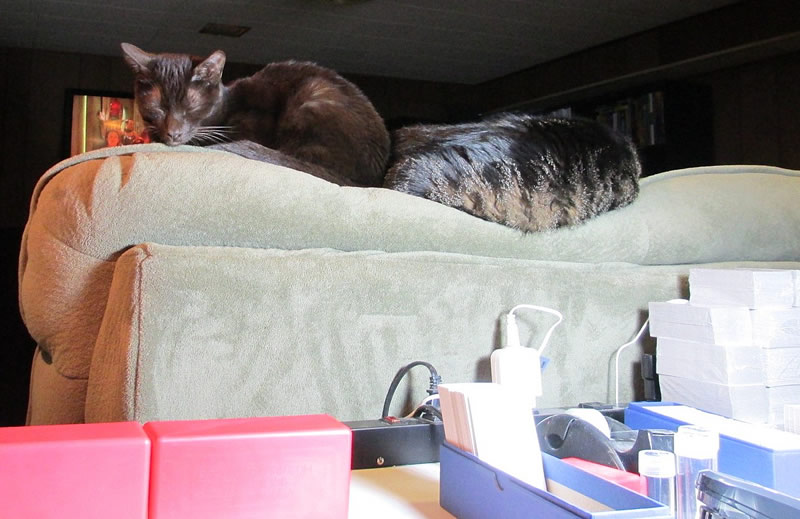 Supervisors-Sleeping-On-The-Job.....