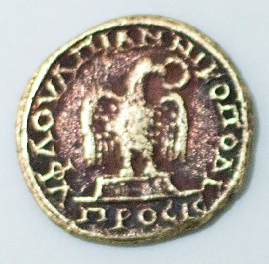 Help-With-An-ID-From-Our-Facebook-Page