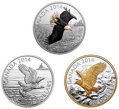 Bald-Eagle-Series-83%-Sold-Out-At-RCM