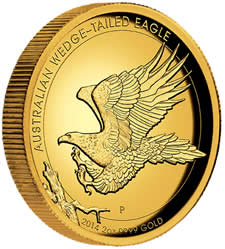 The-Magnificent-Wedge-Tailed-Eagle-Has-Landed-+-More