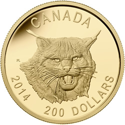 RCM-Nr:-2014-Ultra-High-Relief-Gold-Fierce-Canadian-Lynx