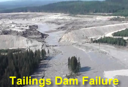 Physical-Precious-Metals-Vs-Mining-Stocks