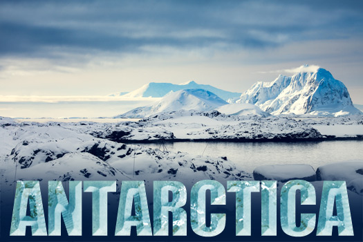Elephant-Seal-Trumpets-Arrival-Of-12th-Antarctic-Series-Coin