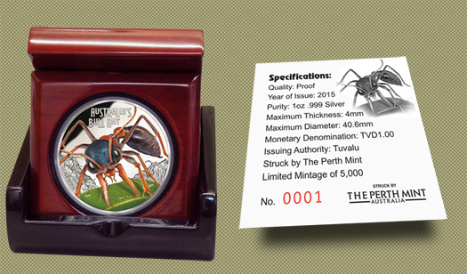 Angry-Bull-Ant-The-World�s-Most-Dangerous