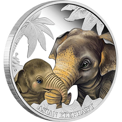 Sold-Out-Asian-Elephant-From-Mother�s-Love-Series