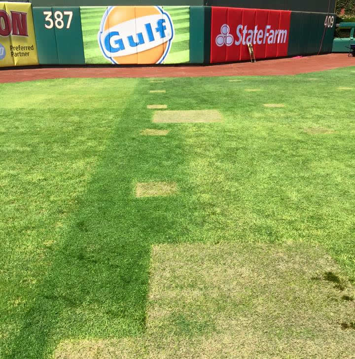 Things-You-Find-On-A-Baseball-Field-The-Day-After-A-Concert