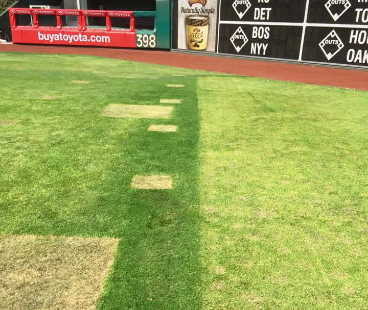 Things-You-Find-On-A-Baseball-Field-The-Day-After-A-Concert