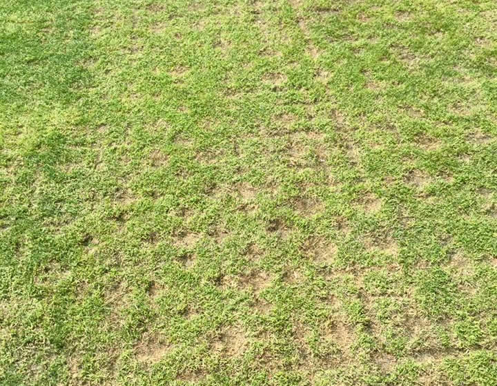 Things-You-Find-On-A-Baseball-Field-The-Day-After-A-Concert