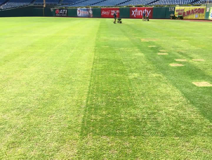 Things-You-Find-On-A-Baseball-Field-The-Day-After-A-Concert