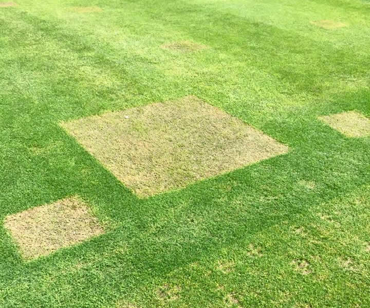 Things-You-Find-On-A-Baseball-Field-The-Day-After-A-Concert