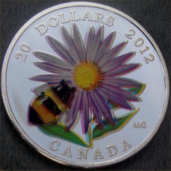 Counterfeit-Silver-Bumblebee-&-Ducks
