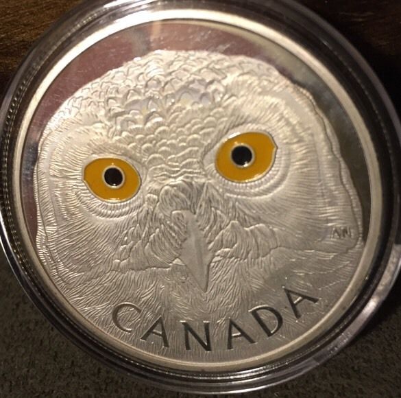 Counterfeit-Owl-Coin
