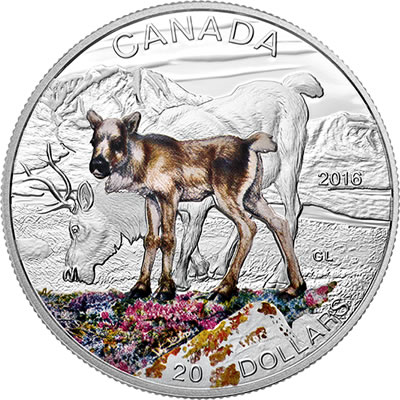 RCM-New-Releases:-2016-1-Oz.-Pure-Silver-Coloured-Coin-�-Baby-Animals:-Caribou