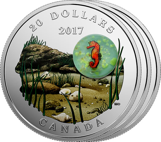 Video:-RCM-New-Release:-2017-1-Oz.-Pure-Silver-Coloured-3-Coin-Subscription-�-Under-The-Sea