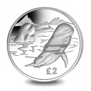 Pobjoy-New-Release:-2017-Pilot-Whale