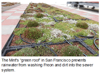 Employee-Spotlight,-Susanne-Turner:-San-Francisco-Mint