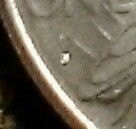 Unknown-Coin-Could-It-Be-Worth-1,000,000-It's-Like-Someone-Split-A-Penny