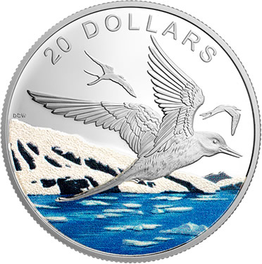 RCM-New-Releases:-2017-1-Oz.-Pure-Silver-Coloured-Coin-�-Glistening-North:-Arctic-Tern